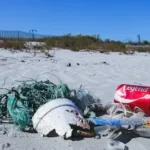 garbage on seashore