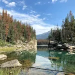 brown wooden raft in middle of clear water river