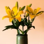 yellow flowers in blue ceramic vase