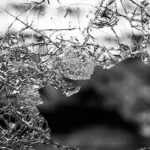 macrophotography of cracked glass screen