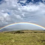 rainbow over green grass field