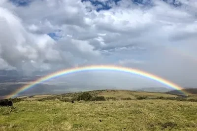 Rainbow Dreams Interpreted: Hope, Prosperity, and New Beginnings