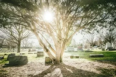 Unveiling the Meaning of Cemetery Dreams: Personal Transformation and Emotional Healing