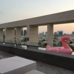 pink swan floater on swimming pool
