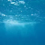 underwater photo