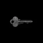 photo of key against black background