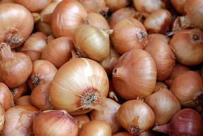 Unlocking the Emotional and Spiritual Meanings Behind Onion Dreams