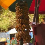 a bunch of bananas hanging from a pole