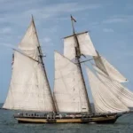 white and brown sailboat