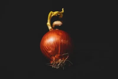 Unveiling Hidden Insights of Onion in Dreams on Growth & Life Transitions