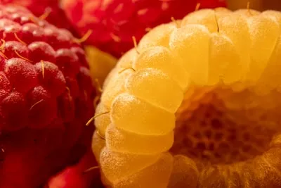 Meaning of Raspberry in Dreams: New Beginnings and More