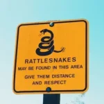Rattlesnakes may be found in this area give them distance and respect signage