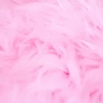 a close up of a pink fur texture