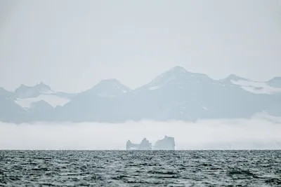 Uncovering the Deep Meanings of Arctic Ocean Dreams