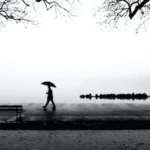 person walking near body of water holding umbrella