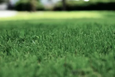 Decoding the Subconscious Messages in Lawn Mower Dreams