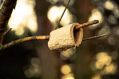 Unlocking the Symbolic Meaning of Dreams About Urinating on Oneself