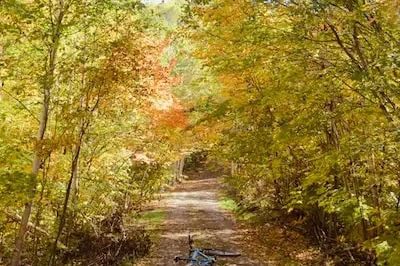 Unlocking the Meaning of Yellow Dirt Bike Dreams: Freedom, Risk and More