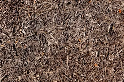 Unlocking the Transformative Meaning of Mulch Dreams