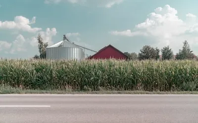 Unraveling the Meaning of Corn Husk in Dreams