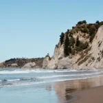 seashore and trees