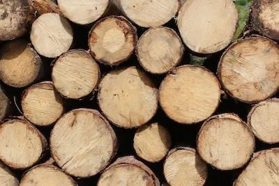 Dreaming of Stacked Firewood: Meaning and Insights into Prosperity