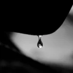 macro shot of water drop