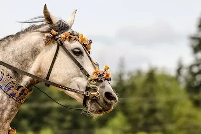 Dreaming of Palomino Horse: Symbolism and Insights of Inner Strength