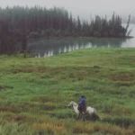 person riding horse on open field near body of water during daytime