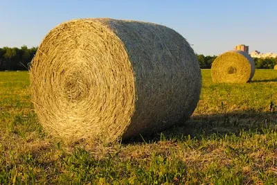 Unpacking the Symbolism of Dreams about Sitting on Hay