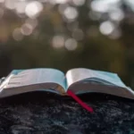 book pages on gray stone during daytime