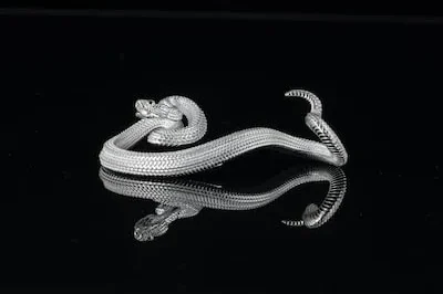 Dreaming of Silver Snakes: Decoding the Fortune and Transformation Meaning