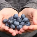 grapes on person's palm