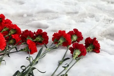 Dreaming of Red Carnations: Interpreting the Emotional Meaning