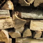 a pile of cut logs