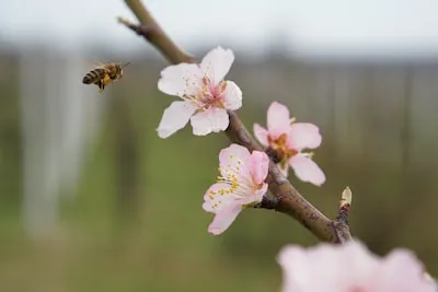 Unveiling the Symbols in Dreams of Wasp Bites: Threat & Resilience