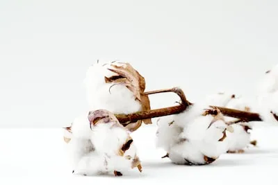 Exploring the Meaning of Dreams about Cotton Balls: Healing & Purification