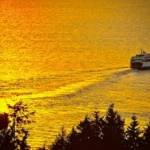 white boat sailing on water