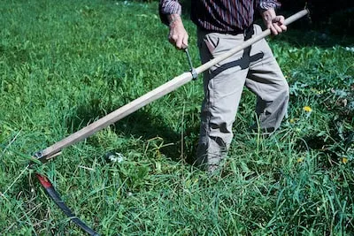 Meaning of Dreaming about Mowing the Lawn: Growth & Control