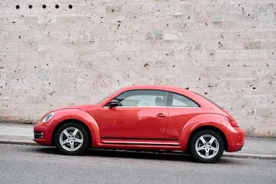 Dreaming of Red Beetles: Decoding the Meaning and Growth Insights