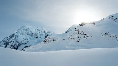 Meaning of Dreaming about Standing Alone in a White Field