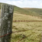 tilt shift lens photography of brown barbwire