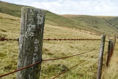 Decoding the Meaning of Dreaming About a Broken Fence